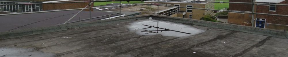 dakreparatie plat dak in Den Haag